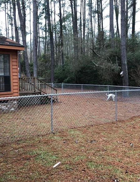chain link fence big