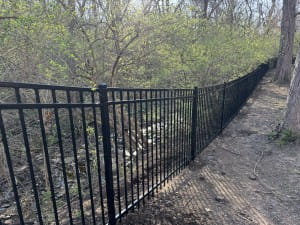 iron fence