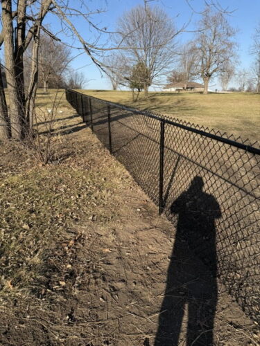 our fence projects copy of chainlink backyard woods 2
