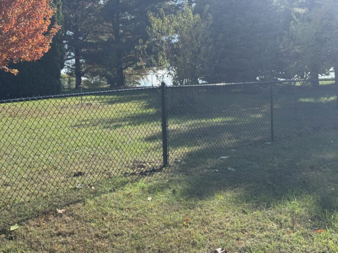 our fence projects copy of chainlink backyard woods1